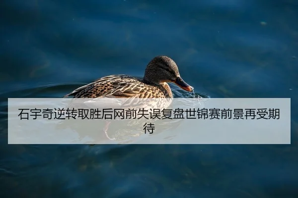 石宇奇逆转取胜后网前失误复盘世锦赛前景再受期待