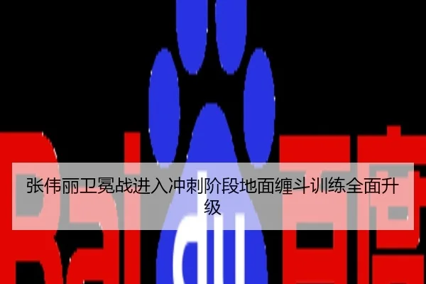 张伟丽卫冕战进入冲刺阶段地面缠斗训练全面升级